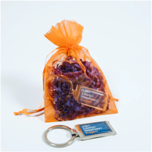 Prager U Keychain