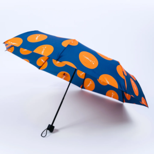 PRAGERU LOGO UMBRELLA