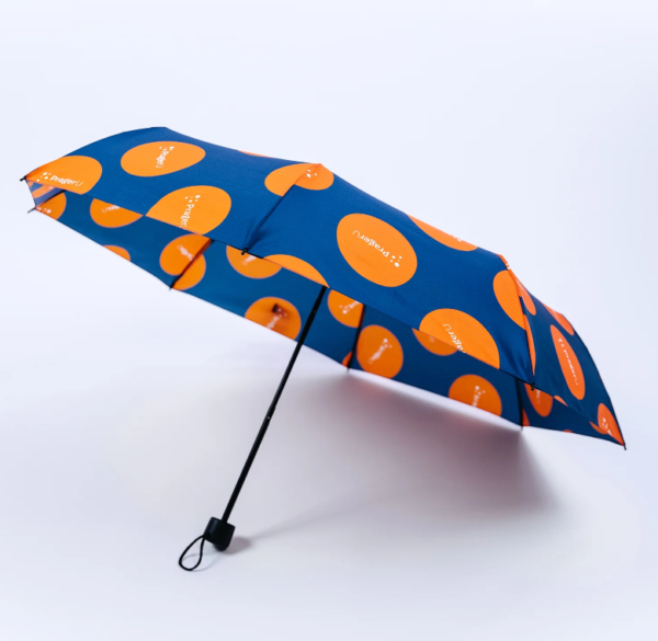 PRAGERU LOGO UMBRELLA